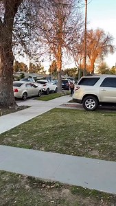 589K views · 42K reactions | Who doesn’t love to see a skateboarding family clip 欄 @zachariahsanchez_ and @babymr.e [ #SLSSydney | Feb 14&15 | tickets at the link in bio ] | Street League Skateboarding | Facebook