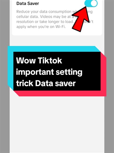 Important TikTok Data Saver Setting Trick