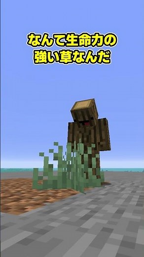 A truly empty initial spawn point in Minecraft.