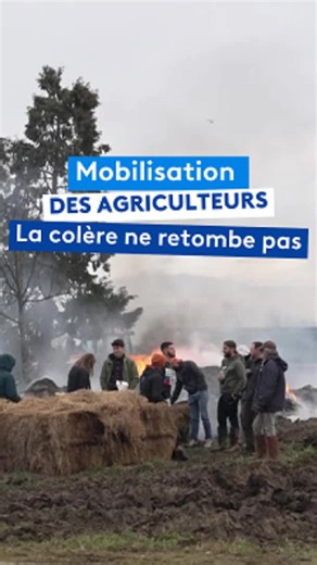 🚜 La colère agricole ne retombe pas. La mobilisation est toujours en cours en Gironde, en Corrèze ou au Pays basque. Blocage de l'autoroute A63, d'un dépôt pétrolier près de Bordeaux, ou actions en Creuse : l'adoption du Mercosur ajoute à la détermination. #agriculture #manifestation #blocage #Creuse #Gironde | France 3 Nouvelle-Aquitaine