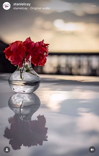 8.1K views · 73 reactions | Staniel Cay Yacht Club. Where every day is simple, but never ordinary. ☀️ Comment below with your favorite part of being at the SCYC and get entered to win one of our classic SCYC sunshirts or tees! ☀️ #Giveaway #StanielCay #StanielCayYachtClub #Exumas #ThunderballGrotto #SwimmingPigs #OutIslands #Adventure  @horseshoe_h_media | Staniel Cay Yacht Club | Facebook