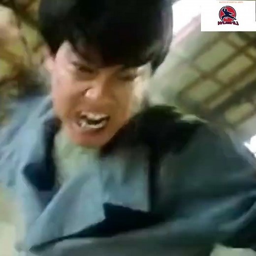 Mustachioed fighter! #wushufight ,#kungfu,#cynthia