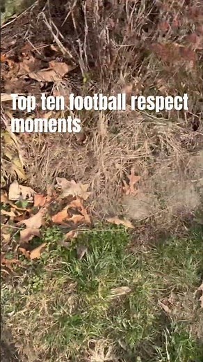 Respect