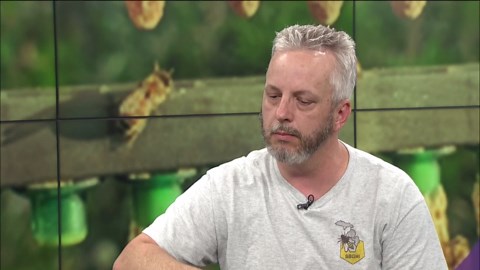 Sustainable Beekeepers Guild of Michigan talks importance of bees