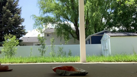 Summer Break Treat Yourself with Crushing ASMR Videos