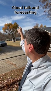 Cirrus clouds and the forecast