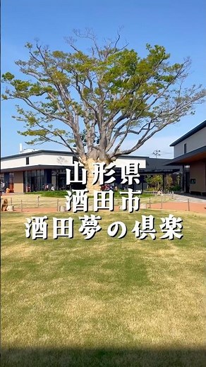 「カップル・友達と行く映え旅✨山形県・酒田市・酒田夢の倶楽✨」#酒田 #山形 #旅行 #観光