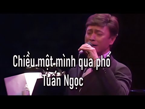 KARAOKE - Chiều một mình qua phố (Tuấn Ngọc)