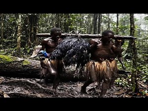 The Bird That Kills Men Hunting Cassowary with the Korowai Tribe Raw Documentary