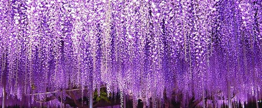 豊かな自然と絶景の宝庫！栃木県特集 - 日本の観光メディアMATCHA