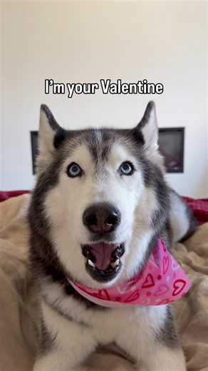 Happy Valentine’s Day 💖