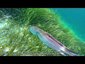 Vive los mares y costas: Colombia es 50 % mar