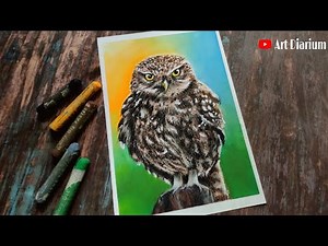 Owl drawing with Oil Pastel - Step by step