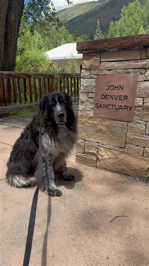 A Peaceful Afternoon at John Denver Sanctuary 🌿