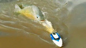 907K views · 7.3K reactions | How To Fishing With High Speed RC Boat In Cambodia | All Entertainment | Facebook