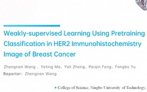Weakly-supervised Learning Using Pretraining for Classification in HER2 Immunohi