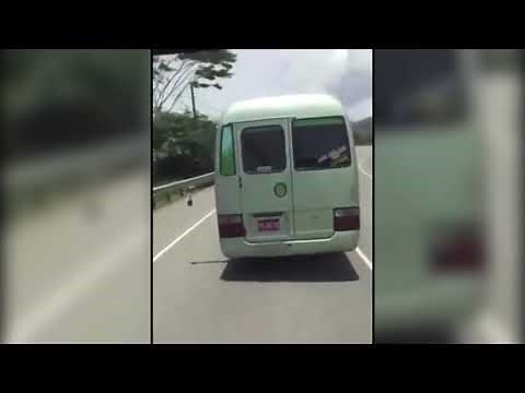 Compilation of Jamaican Modified Buses! (Light action, Sound system and more) @jamaicanbusnation_