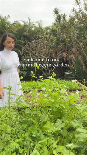 Did you know we have an organic veggie garden at Crystal Castle & Shambhala Gardens? Every day, we harvest fresh seasonal produce for our café to use in our delicious home-cooked meals. We cater to a variety of dietary needs, including vegan, gluten-free, dairy-free, and sugar-free options. Whether you’re craving a fine cup of coffee, a mouthwatering homemade dessert, or a delicious lunch, we’ve got something to tempt you! 🍰☕️ | Crystal Castle