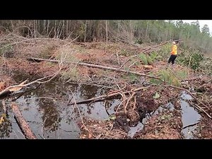 deer hunting with dogs 2020 kill shot