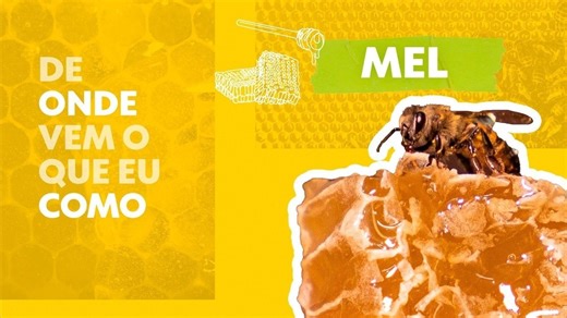 De onde vem o que eu como: Mel