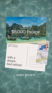 Sheet Society on Reels | Facebook