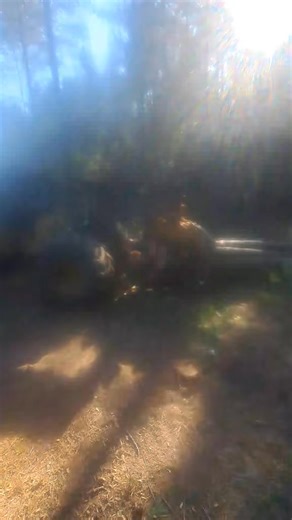 122K views · 1.1K reactions | Amazing Video logging USA 漢望 . . . . . #loaderman559 #woodwork #tigercub #ForestryEquipment #logging #mh60d #forestrymulching #johndeere #landclearing #johndeerforestry #forestry #texas #logginglife #logger #loggerlife #LoggingHistory #history #historia #wood #OMG #usa #woodenfurniture | Peake Warren | Facebook