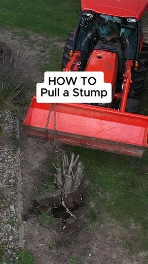 How To Pull a Stump Without Digging #outdoors #howto #tips