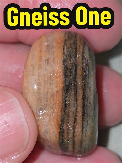 Foliated gneiss, a metamorphic rock containing layers of amphibole and plagioclase feldspar.