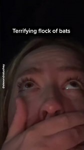 Terrifying Swarm Of Australian Bats Flies Over Tourist