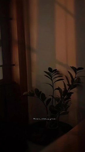 Anirudh Music Vibes | Oh Oh Song Lyrics ft. Dhanush & Nikhita Gandhi