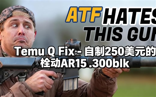 [中配]Temu Q Fix - 自制 250 美元的栓动 AR15 .300blk - 110 SASS Actual