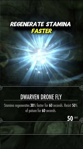 Get the Dwarven Drone Fly in Skyrim Anniversary Edition