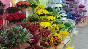 Careers | Lynch Group Australia