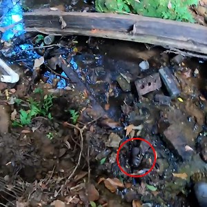 204K views · 6K reactions | OUR BEST TREASURE HUNT YET! | Adventure Archaeology And Southern Diggers | Facebook