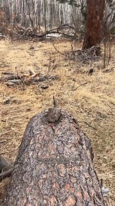 46K views · 366 reactions | A full meal needs a full-size cook set. #gerbergear #cookset | Gerber Gear | Facebook