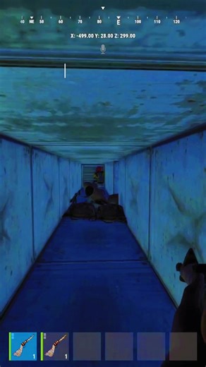 Exploring Rust Game Moments and Gameplay