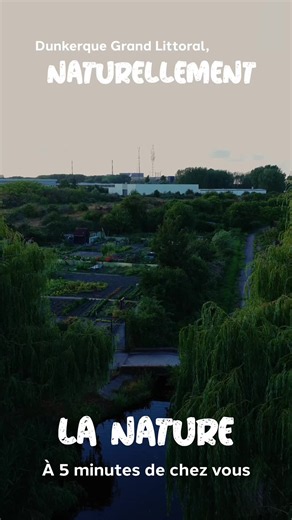 🌳 Tu connais Dunkerque, une ville portuaire, maritime et industrielle, en plein regain d’attractivité. Savais-tu que c’est aussi une ville nature ? POV : quand tu es une chouette et que la nuit tombe sur Dunkerque… 🦉 #dunkerque #chouette