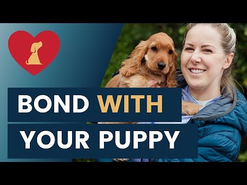 How To Bond With Your Puppy And Strengthen Your Relationship