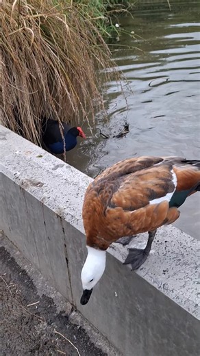 David James Boardman on Instagram: "Just a nibble"