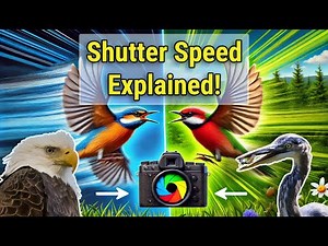 Shutter Speed Explained: Stop Motion or Blur Like a Pro!