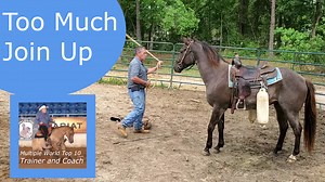 246K views · 4K reactions | Teaching a horse to join up is good but too much of any thing is bad. In this video I am working this horse with too much join up, I show you why it is a bad thing and how I work on fixing it. | Tim Anderson Horse Training | Facebook