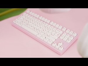 Zoom TKL EE Installation and Back plate replacement (With internal Stainless Steel weight)