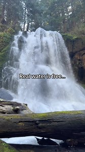 1.5K views · 119 reactions | Spring water is natural unlike purified...