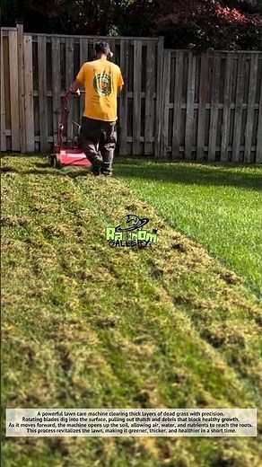 Amazing, Lawn Reviving Machine ✅ Satisfying Grass Dethatching Process!