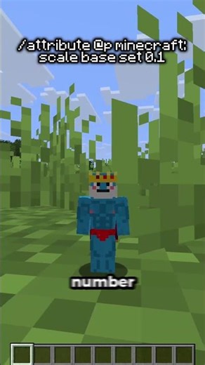 The Coolest Minecraft Commands