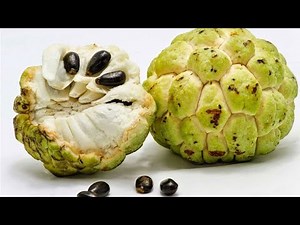 6 Health benefits of Sugar Apple