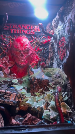 Steve Thornton on Instagram: "#tarantula #spider #vivarium #strangerthings #horrorcommunity @strangerthingstv @netflix @netflixuk @barriegower @milliebobbybrown @joekeerypage @finnwolfhardofficial @winonaryderofficial @dkharbour @gatenmatarazzo @nataliadyeractress @charlie.r.heaton @noahschnapp"