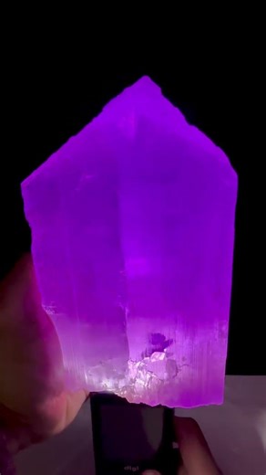 Double Terminated Kunzite Crystal | Rare Afghan Specimen