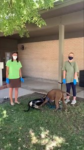 Longmont Youth Center Staff Introductions