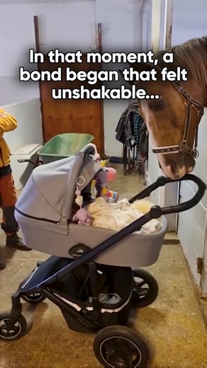 I Raised an Orphan Horse #heartfeltstory #animalrescue | Dancing in the Sky